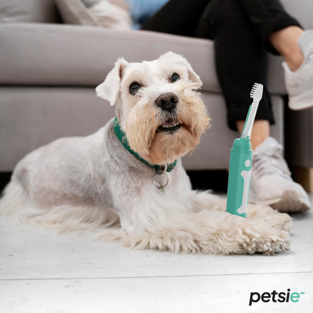 Petsie dog toothbrush (size S -10kg)-2