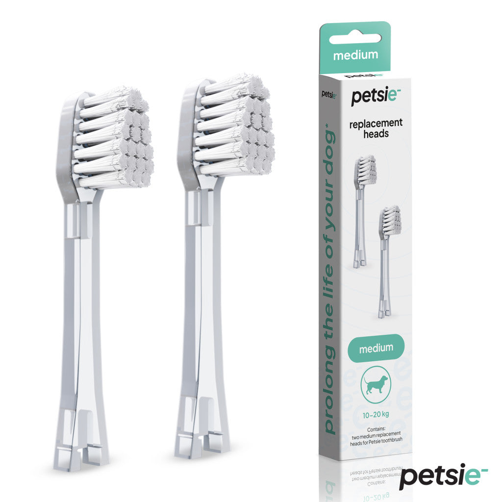2 replacement heads for Petsie dog toothbrush (size M 10-20 kg)-0