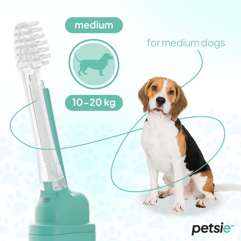 2 replacement heads for Petsie dog toothbrush (size M 10-20 kg)-1