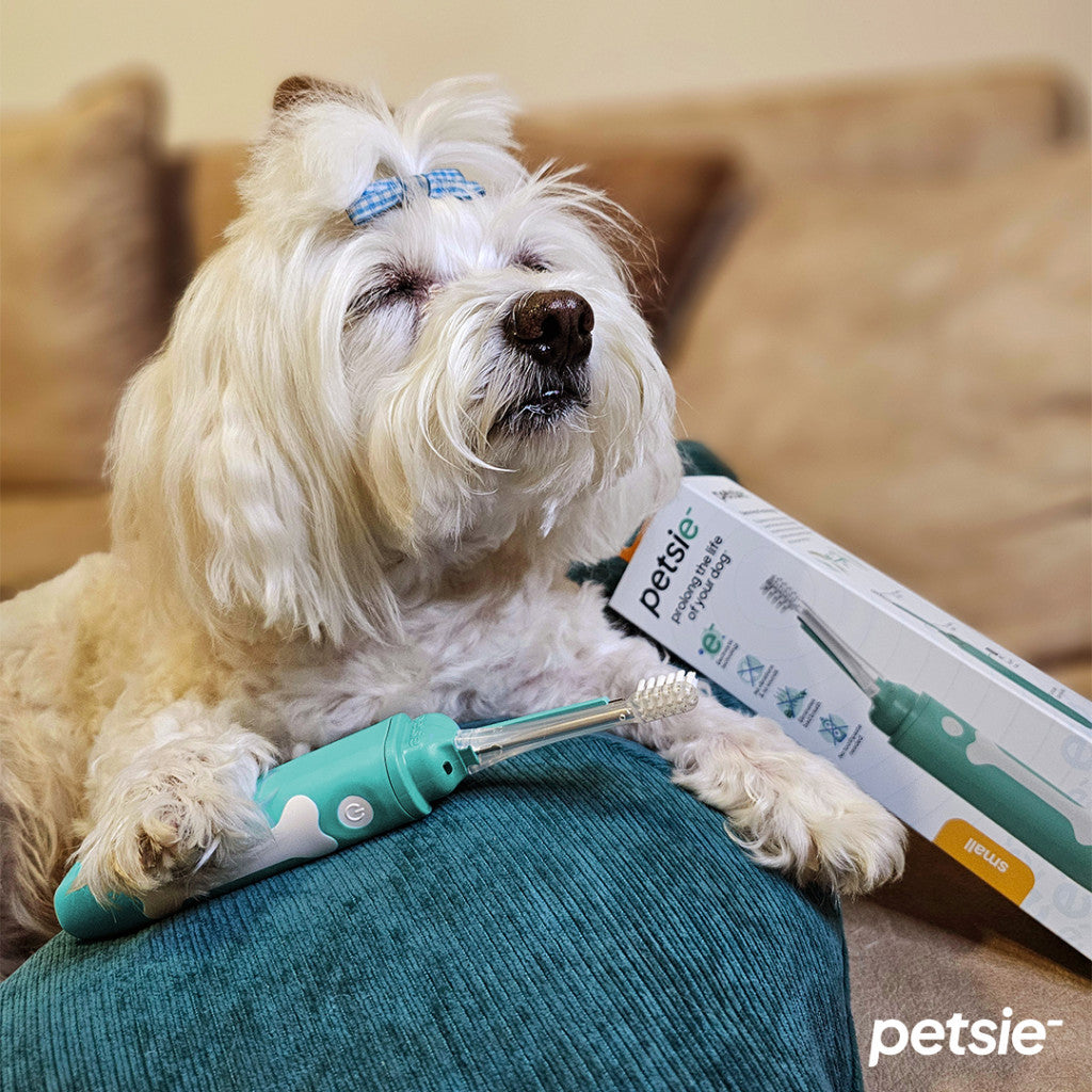 Petsie dog toothbrush (size M  10-20kg)-2